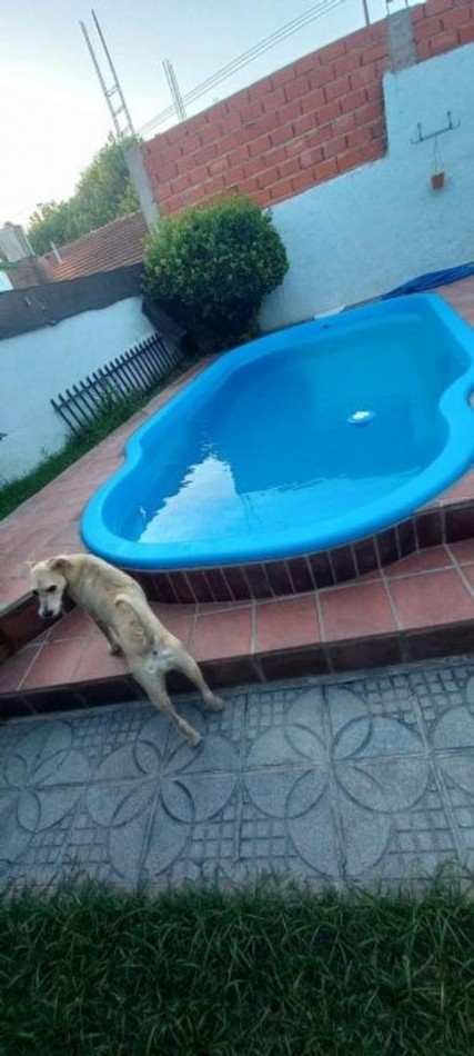 VENTA CASA 3 AMBIENTES CON PATIO Y PILETA BELLA VISTA