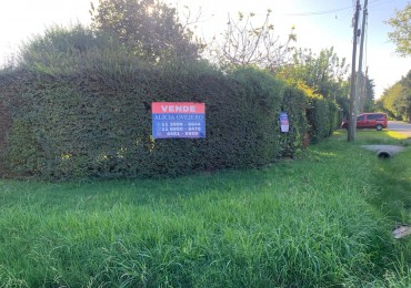 TERRENO 10X20 EN DEL VISO 